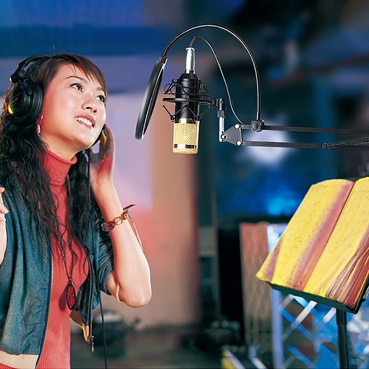 BM-800 Network K-Song Dedicated High-end Metal Shock Mount Microphone Set