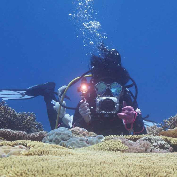 PULUZ Dual Handles Aluminium Alloy Tray Stabilizer for Underwater Camera Housings(Black)