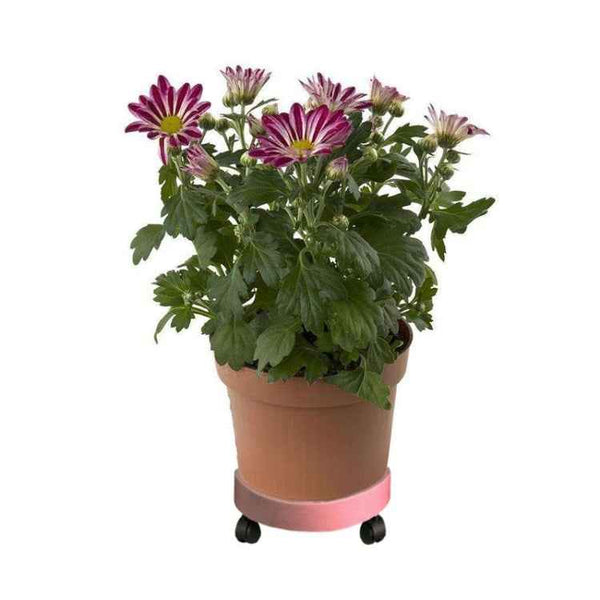 Universal Round Wheels Pot Tray Easy Moving Plant Pot Tray Garden Plate Plastic Stand(Pink)