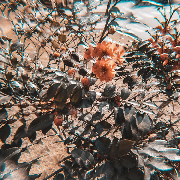 77mm Kaleidoscope Prism Foreground Blur Camera Glass Filter Lens