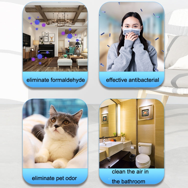 CT02 Negative Ion Air Purifier Pet Deodorant Removal Cleaner, US Plug, EU Plug