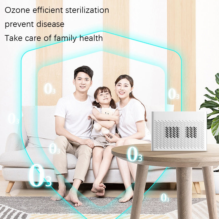 XDCM06 Vehicle Negative Ion Air Purifier, XDCM06