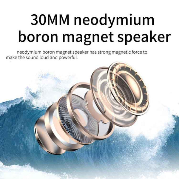 DANYIN BH69 Unilateral Bluetooth Business Talk Headset Customer Service Wireless Voice Wheat(Black)