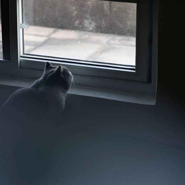 79mm+2 Handheld Diopter Blur Special Effect Photography Camera Accessories