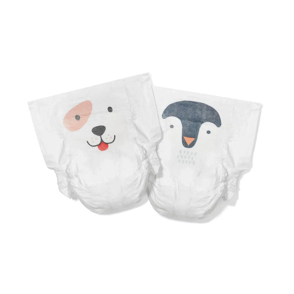 Kit & Kin Nappies Size 6 - 24 nappies