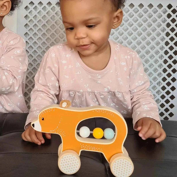 Bigjigs Toys Push Along Bear