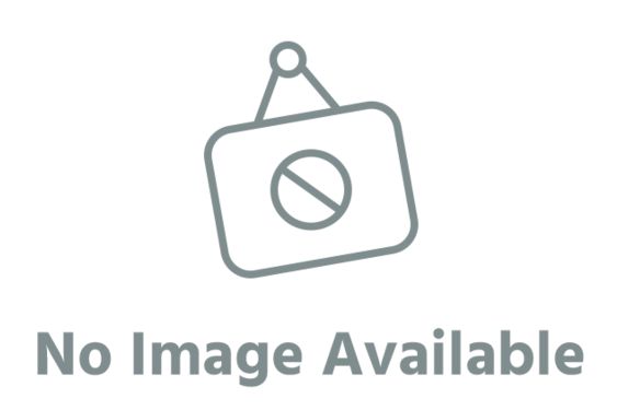 Red Bull RB12 #33 F1 2016 Max Verstappen 1:43 Scale Diecast Model