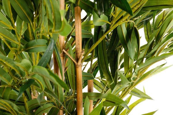Realistic 6ft Bamboo Tree - High Quality, Wholesale Price - Indoor/Outdoor Use