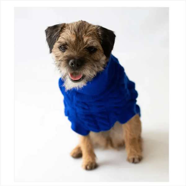 Premium Rascal Dog Jumper - Blue, Cableknit Design